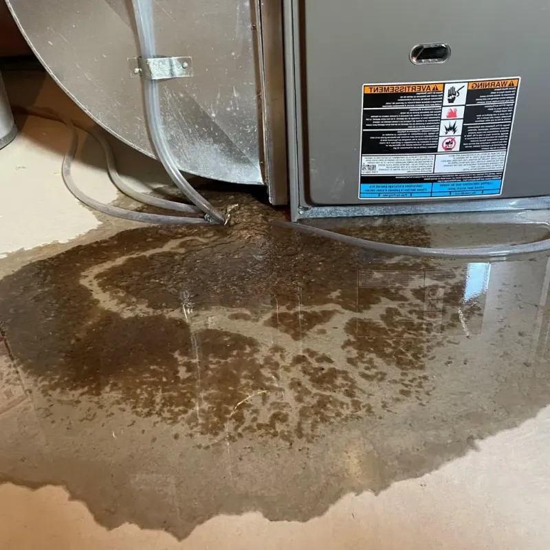 Pipe Burst and Leak Restoration in Omaha, NE